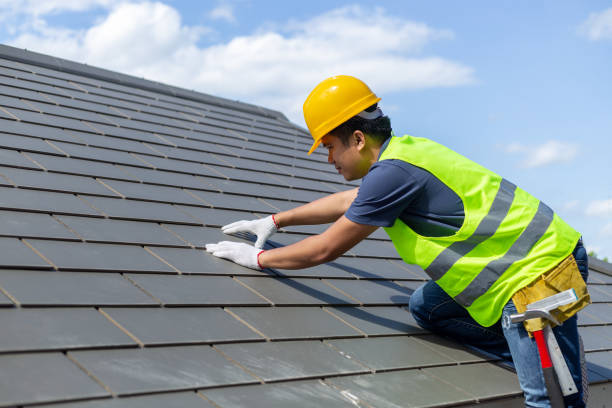 Best Solar Panel Roofing Installation  in Lindsay, OK